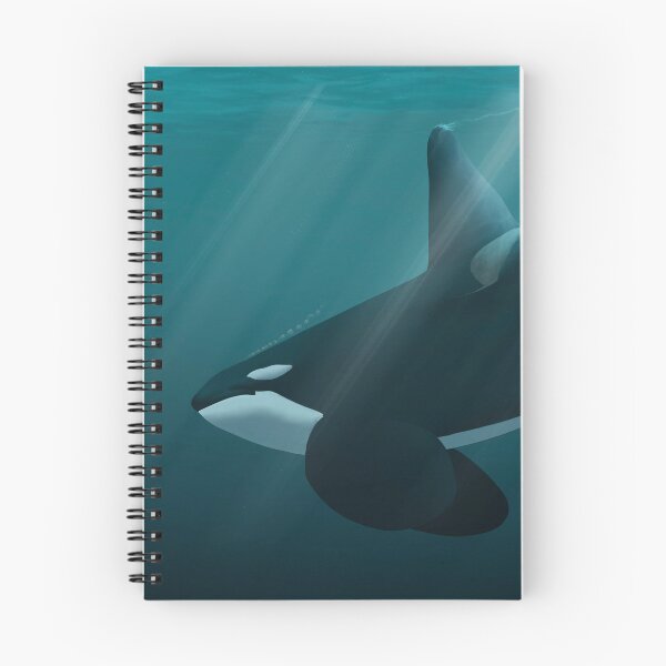 Item preview, Fatfin transient killer whale full AW designed and sold by Selena Rivera.