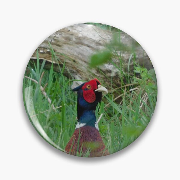 Item preview, Peek-a-boo Pheasant designed and sold by PerinOnTheRocks.