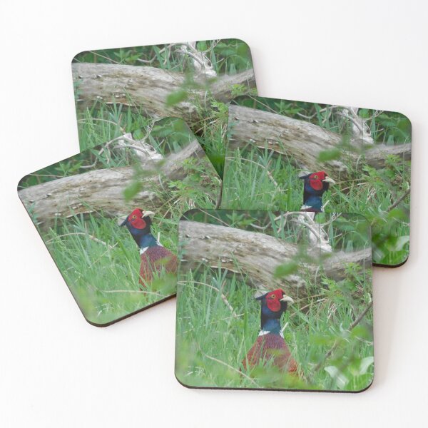 Item preview, Peek-a-boo Pheasant designed and sold by PerinOnTheRocks.