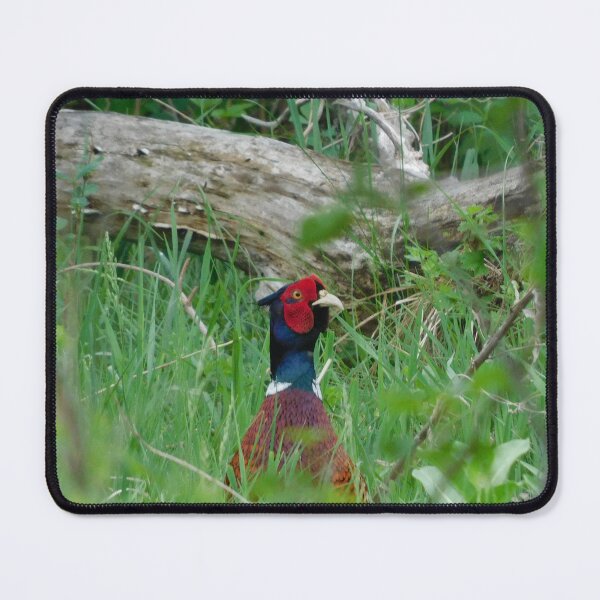 Item preview, Peek-a-boo Pheasant designed and sold by PerinOnTheRocks.