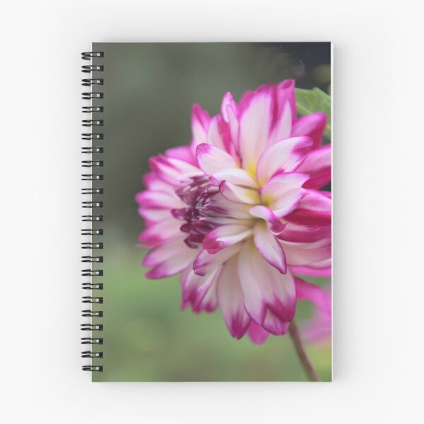 Item preview, Darling Dahlia designed and sold by Jessica Jenney.