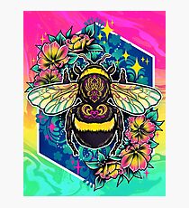 Bumblebee Photographic Print