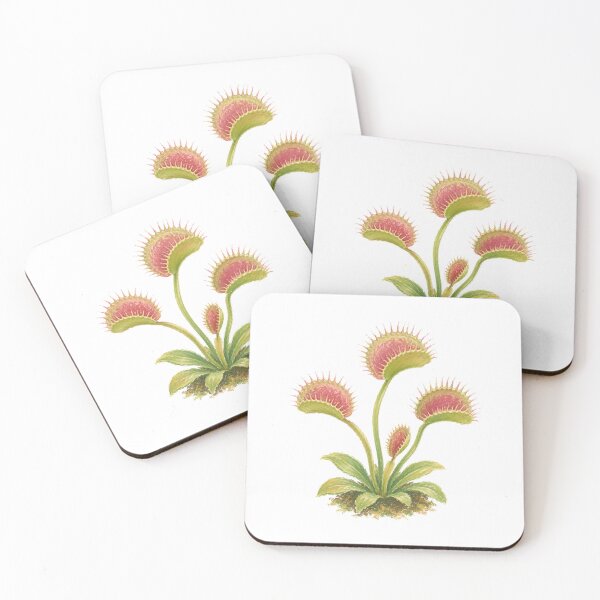 Item preview, Venus Flytrap Carnivorous Plant Botanical Study designed and sold by eignvalue.