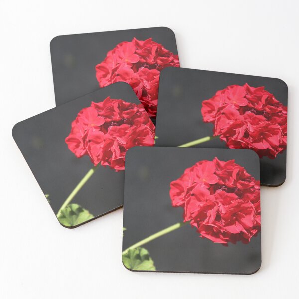 Item preview, Geranium. designed and sold by Paul Pasco.