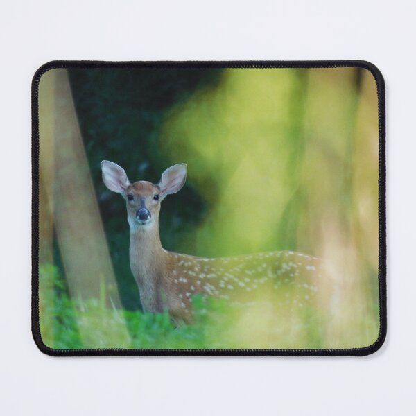 Item preview, Whitetail Fawn designed and sold by PerinOnTheRocks.