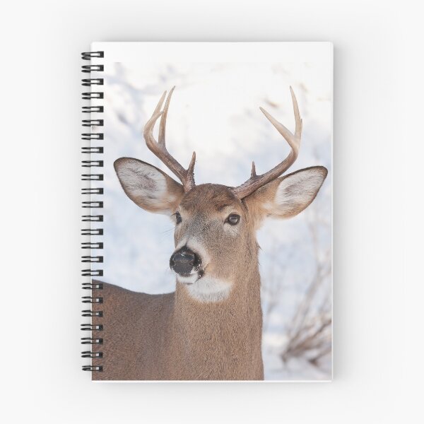 Item preview, White-tailed deer buck in the winter snow designed and sold by James Cumming.