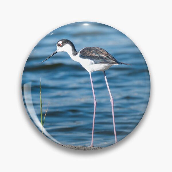 Item preview, Black-Necked Stilt by the Water's Edge designed and sold by Debra Martz.