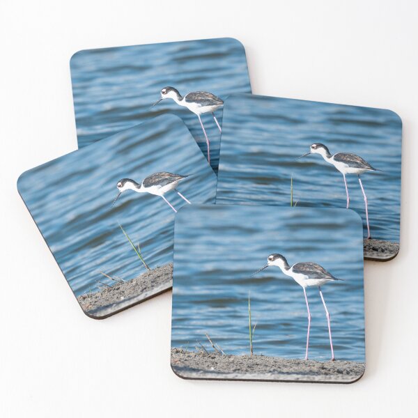 Item preview, Black-Necked Stilt by the Water's Edge designed and sold by Debra Martz.
