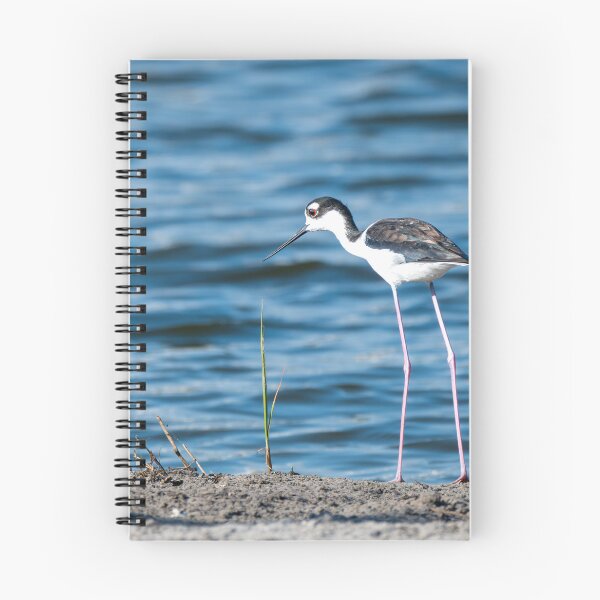 Item preview, Black-Necked Stilt by the Water's Edge designed and sold by Debra Martz.