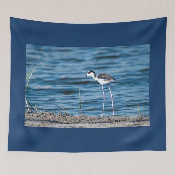 Item preview, Black-Necked Stilt by the Water's Edge designed and sold by Debra Martz.