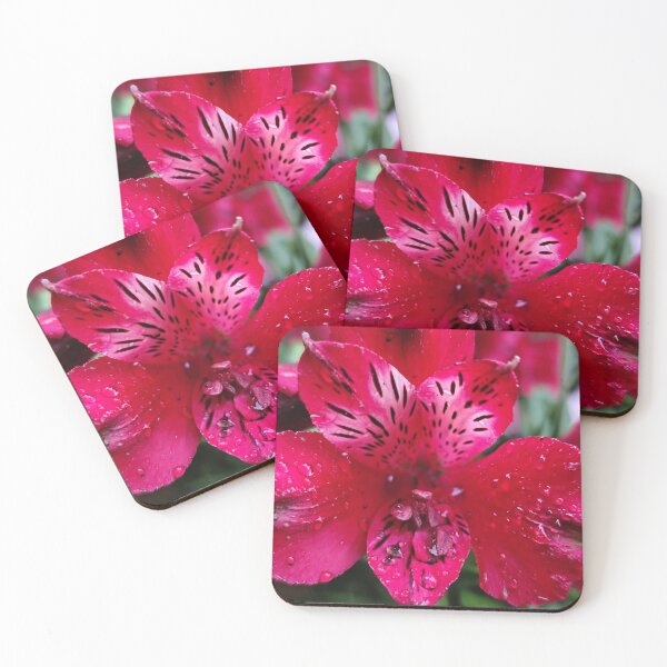 Item preview, Pink Red Peruvian Lily Alstroemeria Under The Rain designed and sold by vtspatial.