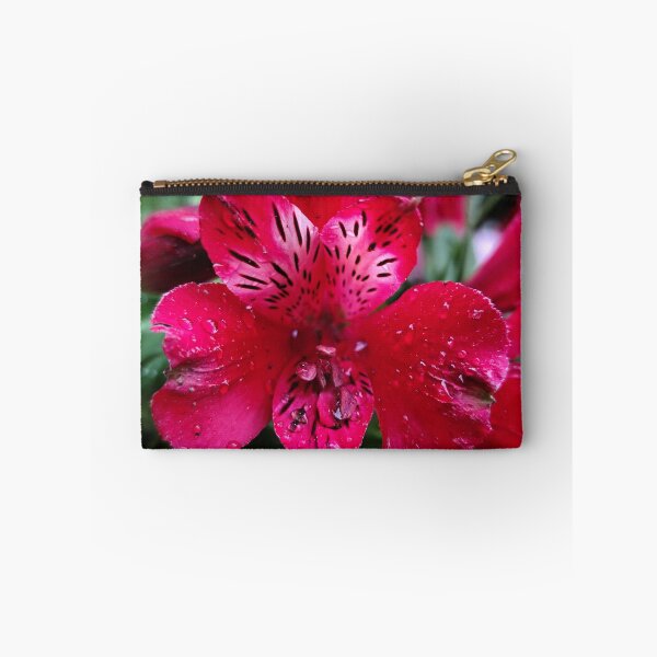 Item preview, Pink Red Peruvian Lily Alstroemeria Under The Rain designed and sold by vtspatial.