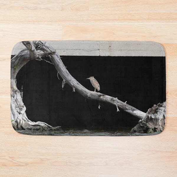 Item preview, Juvenile Black-crowned Night Heron 6-14-2026 designed and sold by Thomasyoung.