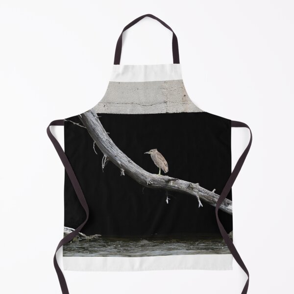 Item preview, Juvenile Black-crowned Night Heron 6-14-2026 designed and sold by Thomasyoung.