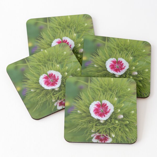 Item preview, Sweet William Flower Close-Up | Vibrant Botanical Photography designed and sold by Cha-s-lens.