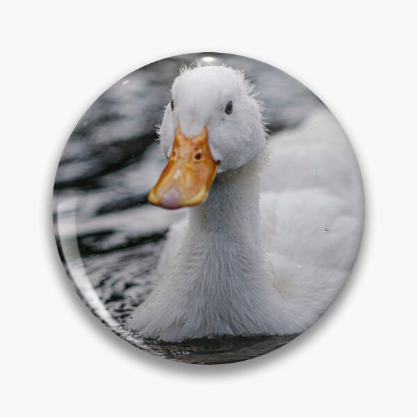 Item preview, White Duck Swimming on Calm Still Water designed and sold by picstroflex.