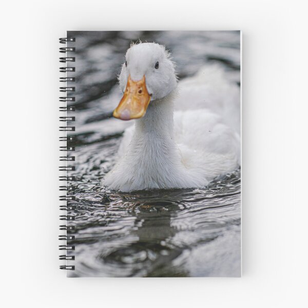 Item preview, White Duck Swimming on Calm Still Water designed and sold by picstroflex.
