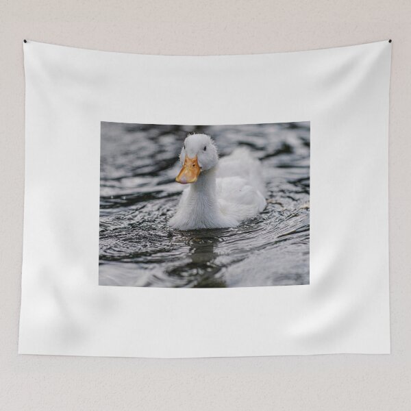 Item preview, White Duck Swimming on Calm Still Water designed and sold by picstroflex.