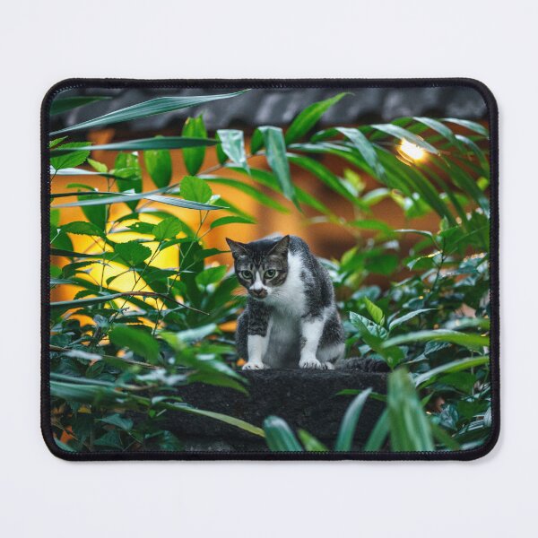 Item preview, Curious Cat Resting on Old Stone Wall designed and sold by picstroflex.