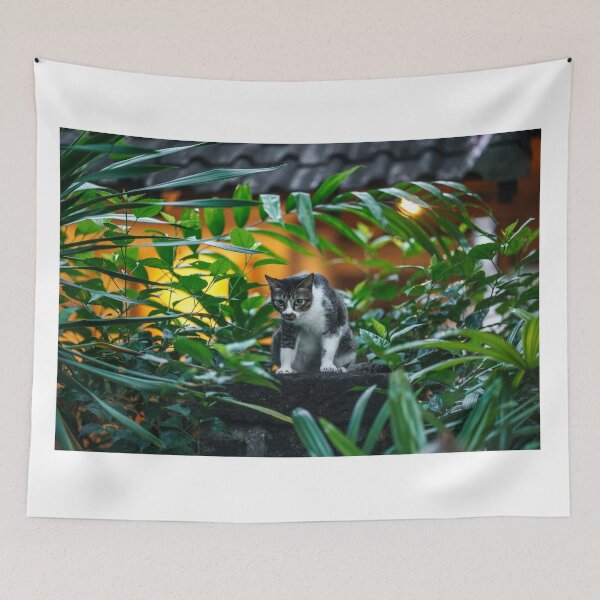 Item preview, Curious Cat Resting on Old Stone Wall designed and sold by picstroflex.