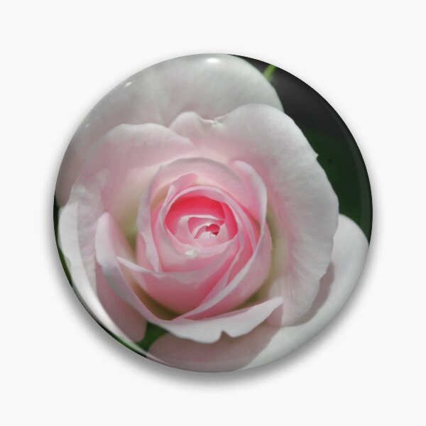 Item preview, Beautiful rose in summer garden designed and sold by olena2552.