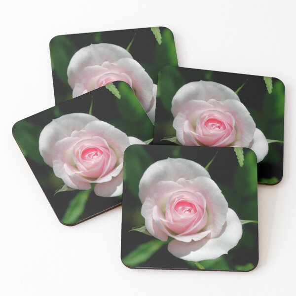 Item preview, Beautiful rose in summer garden designed and sold by olena2552.
