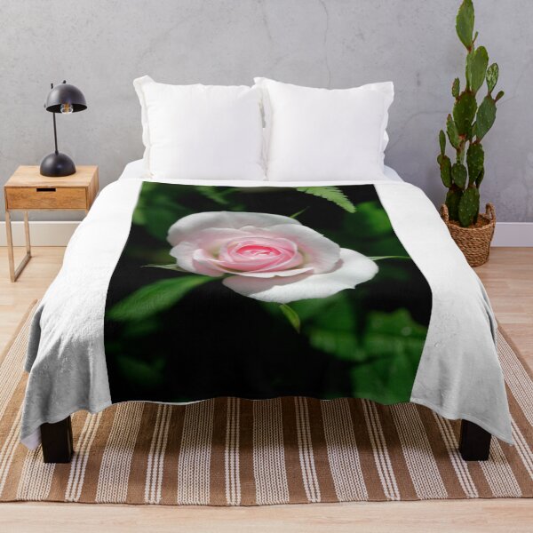 Item preview, Beautiful rose in summer garden designed and sold by olena2552.