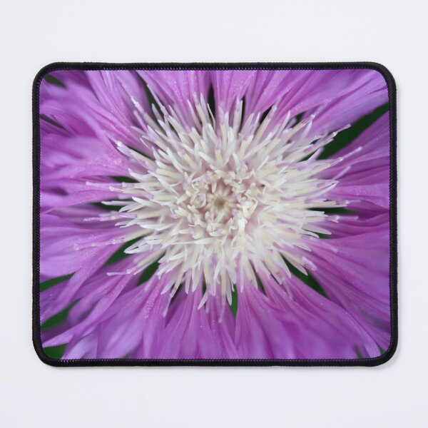 Item preview, Purple flowers on nature background designed and sold by olena2552.