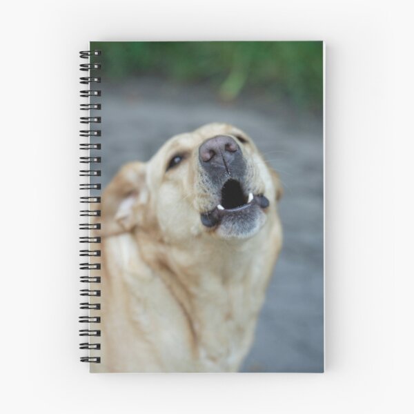 Item preview, Portrait of cute big dog designed and sold by olena2552.