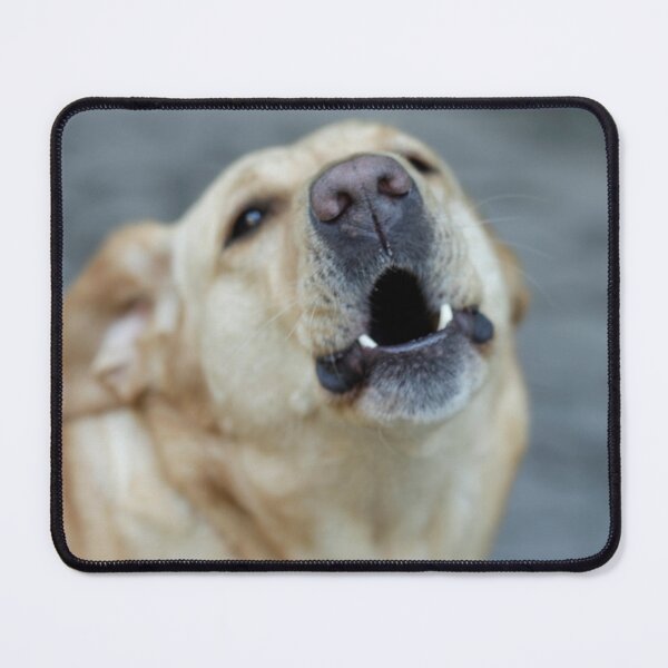 Item preview, Portrait of cute big dog designed and sold by olena2552.