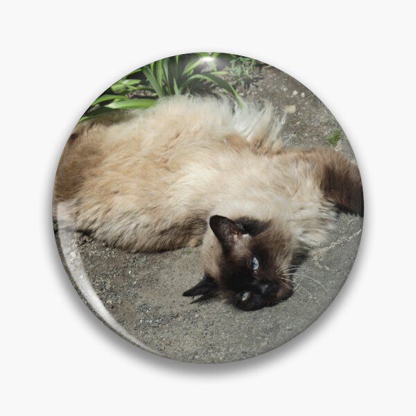 Item preview, Portrait of cute siamese cat designed and sold by olena2552.