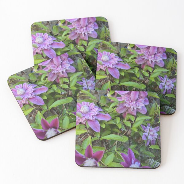 Item preview, Clematis Vine with Purple Beauties designed and sold by JoyousArt4u.