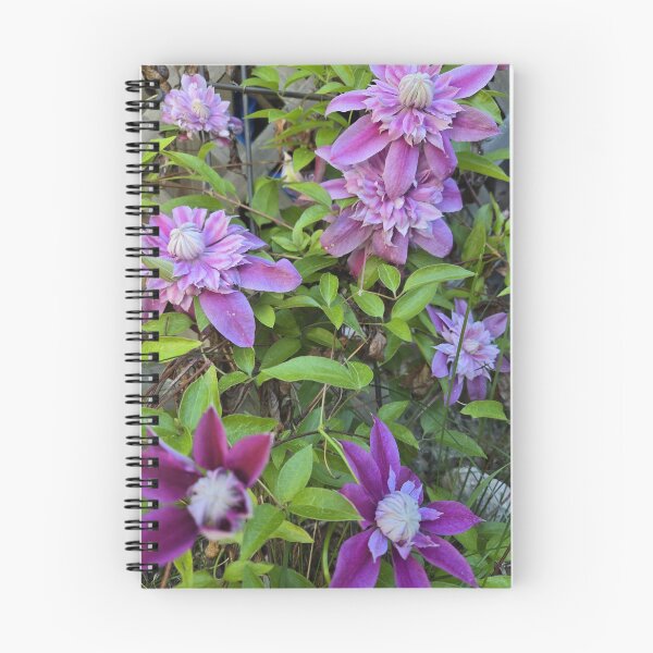 Item preview, Clematis Vine with Purple Beauties designed and sold by JoyousArt4u.