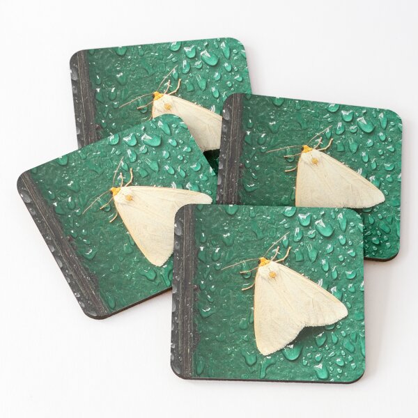 Item preview, Clymene Moth designed and sold by Alice Kahn.