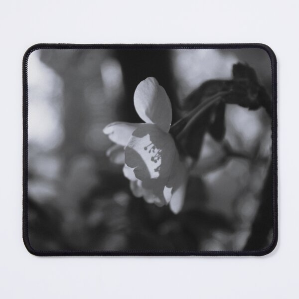Item preview, Blossom designed and sold by Pellagia.