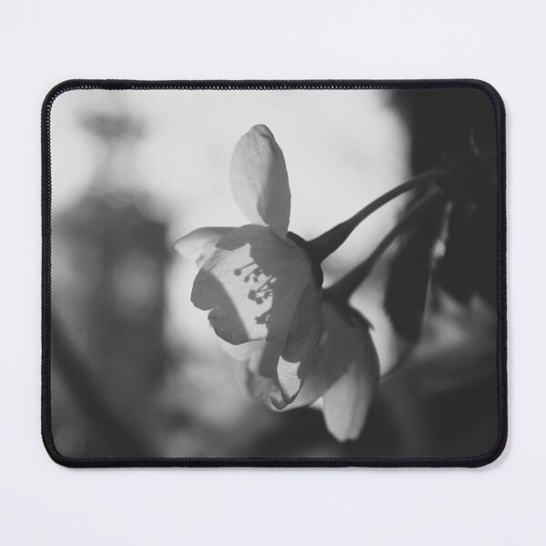 Item preview, Blossom designed and sold by Pellagia.