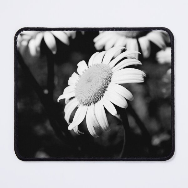 Item preview, The Silent Chorus designed and sold by bkgfoto.