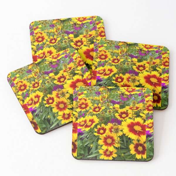 Item preview, Coreopsis de flores grandes designed and sold by Naturally Still Photography.