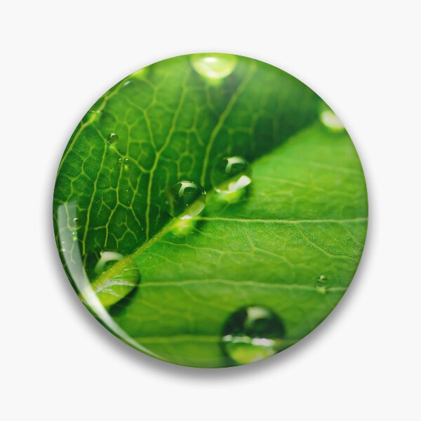 Item preview, Leaf designed and sold by DroneWorks Creative.