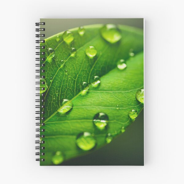 Item preview, Leaf designed and sold by DroneWorks Creative.