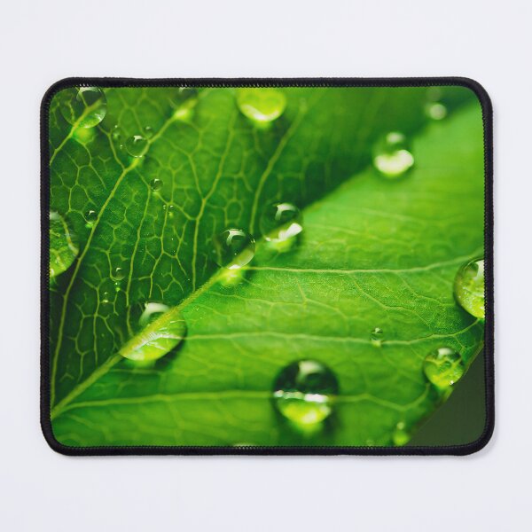 Item preview, Leaf designed and sold by DroneWorks Creative.