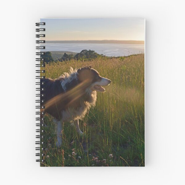 Item preview, Lighten Up. designed and sold by Michael Haslam.