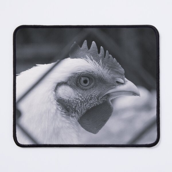Item preview, Gaze designed and sold by Pellagia.