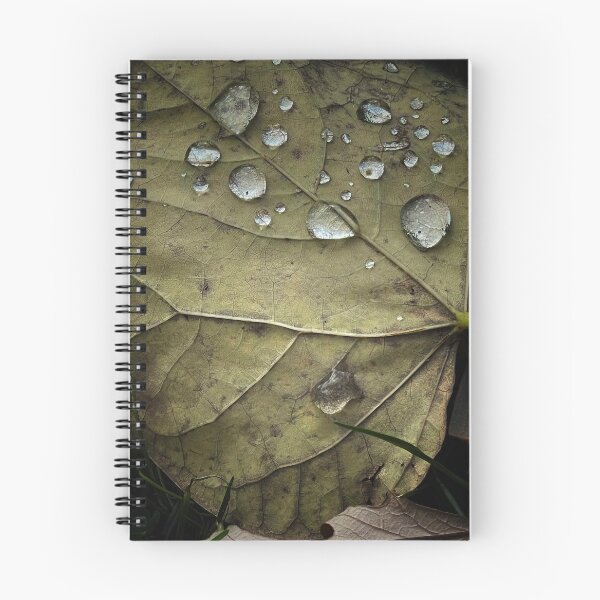 Item preview, Fall Leaves after a Rain Storm designed and sold by DroneWorks Creative.
