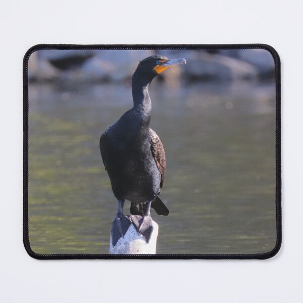 Item preview, Cormorant designed and sold by Parks and X.