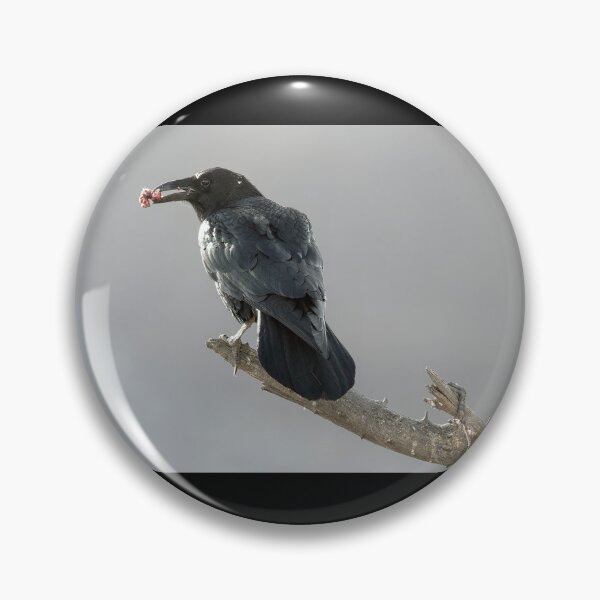 Item preview, Raven with a Morsel designed and sold by CarolM.