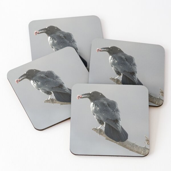 Item preview, Raven with a Morsel designed and sold by CarolM.