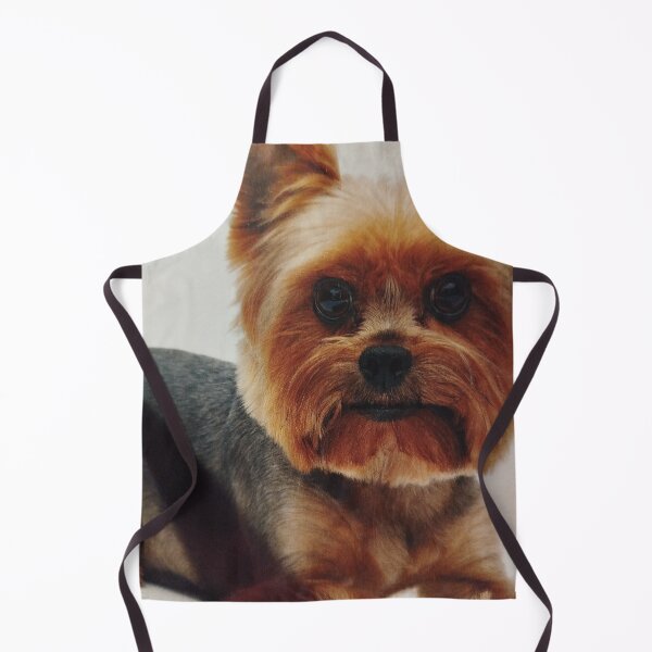 Item preview, Modesty too adorning. designed and sold by Valgasnews011.