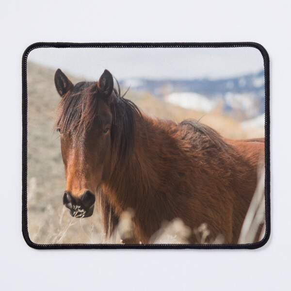 Item preview, Pine Nut Wild Horse designed and sold by Jacquelie.