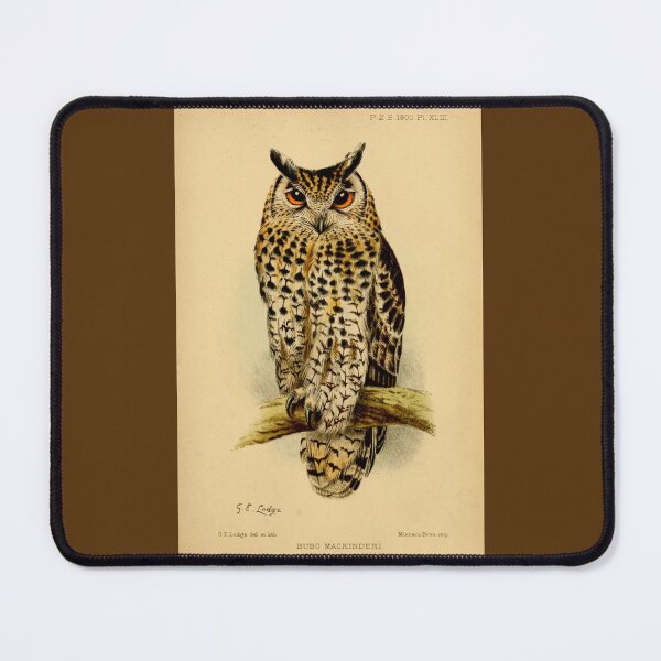 Item preview, Antique Owl designed and sold by collageDP.
